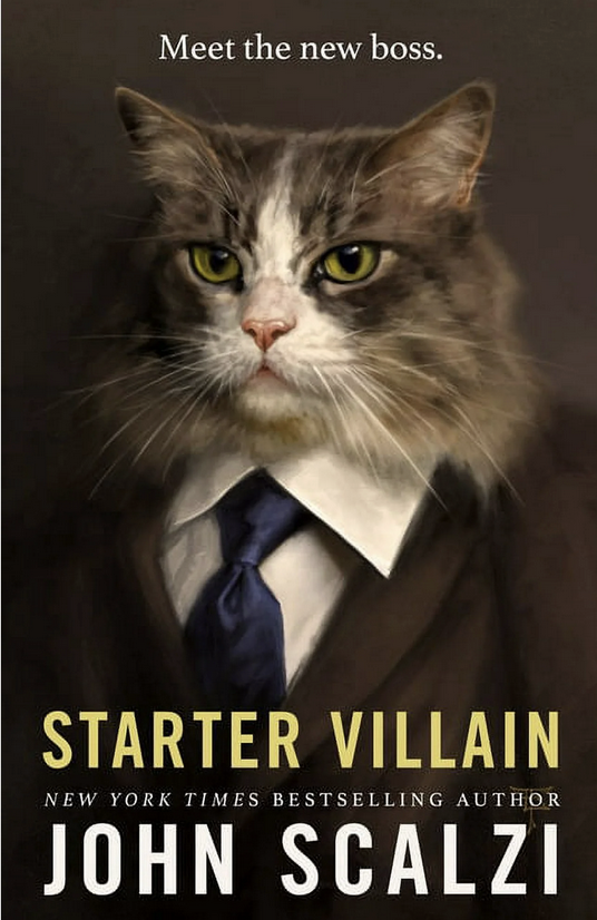 Starter Villain Cover